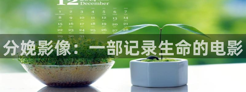 紅葉影城電影