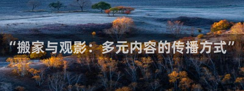 電影紅葉：“搬家與觀影：多元內容的傳播方式”